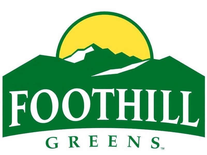 Mr. Vikram Patel, Partner - Finance & Legal